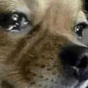 Meet your Posher, Rafael